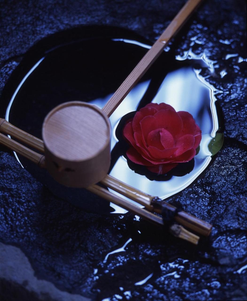 Tsubakikan Aomori Esterno foto